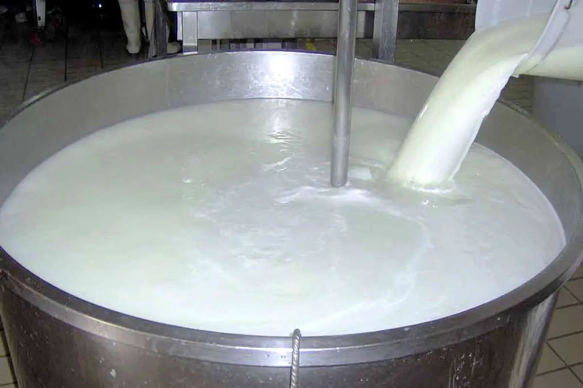 تثبیت قیمت شیر خام با نرخ ۱۳۰۰ تومان