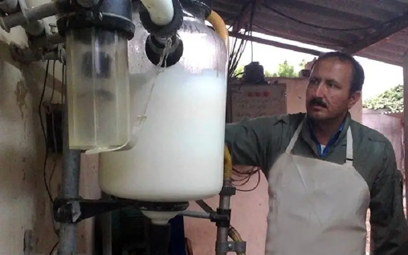 روزانه هزار تن شیر خام از دامداران خریداری می‌شود
