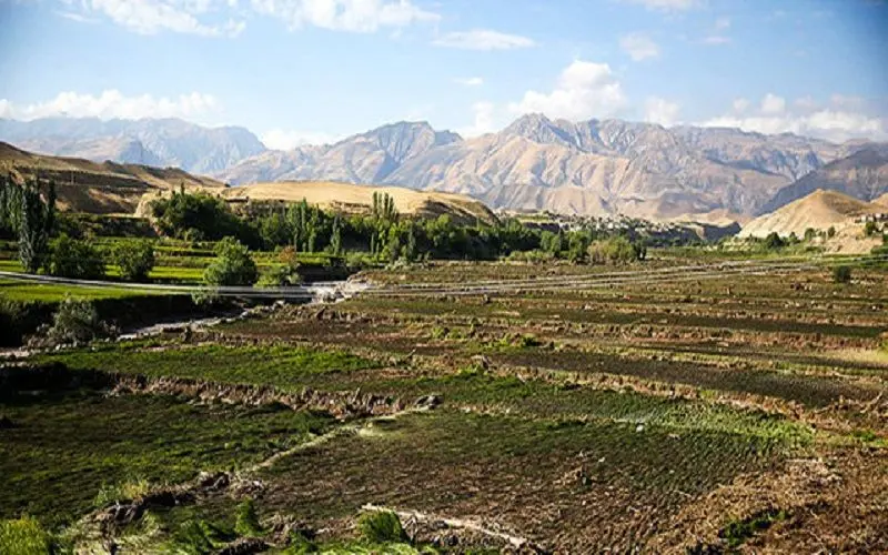 خسارت 1468 میلیاردی به بخش کشاورزی آذربایجان‌شرقی