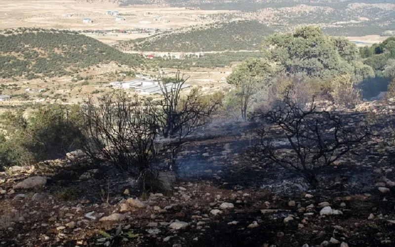مهار آتش‌سوزی جنگلها و مراتع منطقه حفاظت شده خائیز پس از 9 ساعت