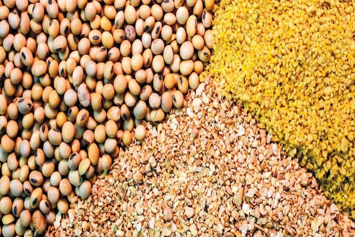 یک چهارم واردات ایران خوراک دام است