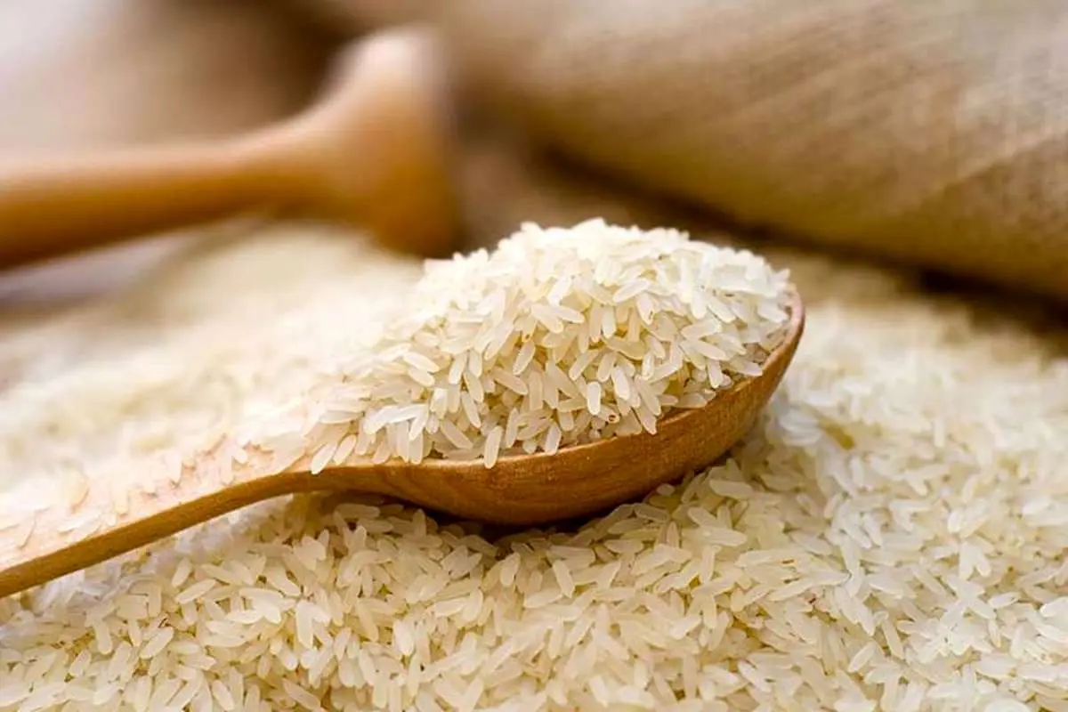 محدودیتی برای واردات برنج از کشورهای مختلف وجود ندارد
