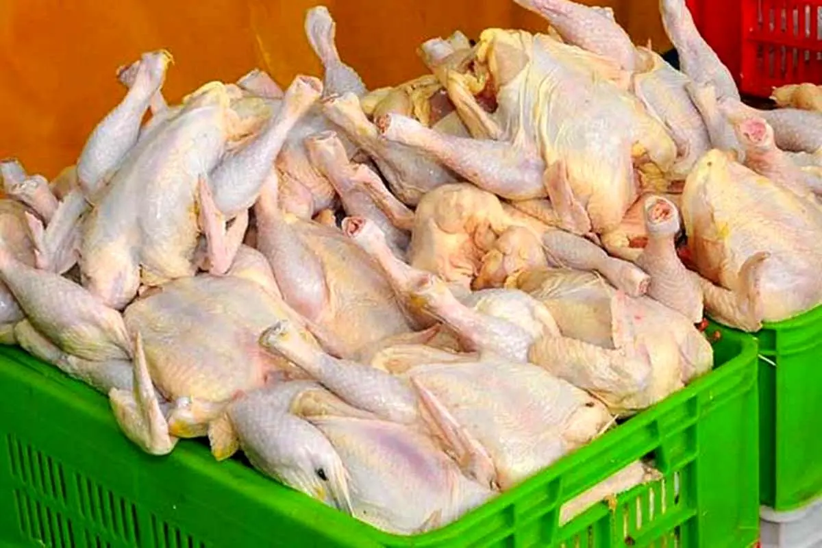قیمت مرغ در خرده‌فروشی‌ها ۷۷۰۰ تومان