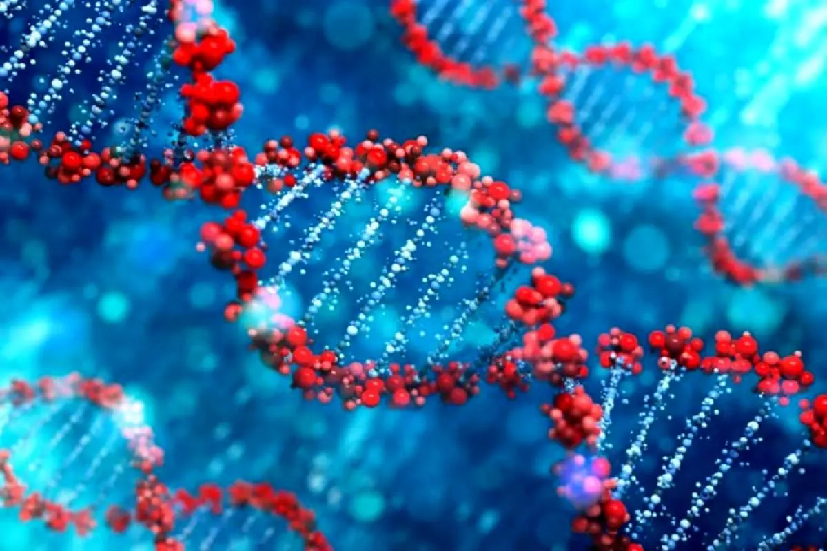 دستکاری ژن‌ها احتمال ابتلای انسان به سرطان را افزایش می‌دهد