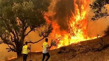 10 سال حبس برای عامل آتش سوزی جنگل‌های شهرستان خفر