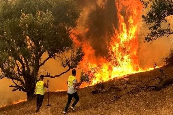مهار ۸۰ درصد آتش‌ سوزی جنگل شهرستان دزپارت