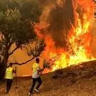 آتش‌ سوزی گسترده در مراتع جنگلی شیره زول +ویدئو