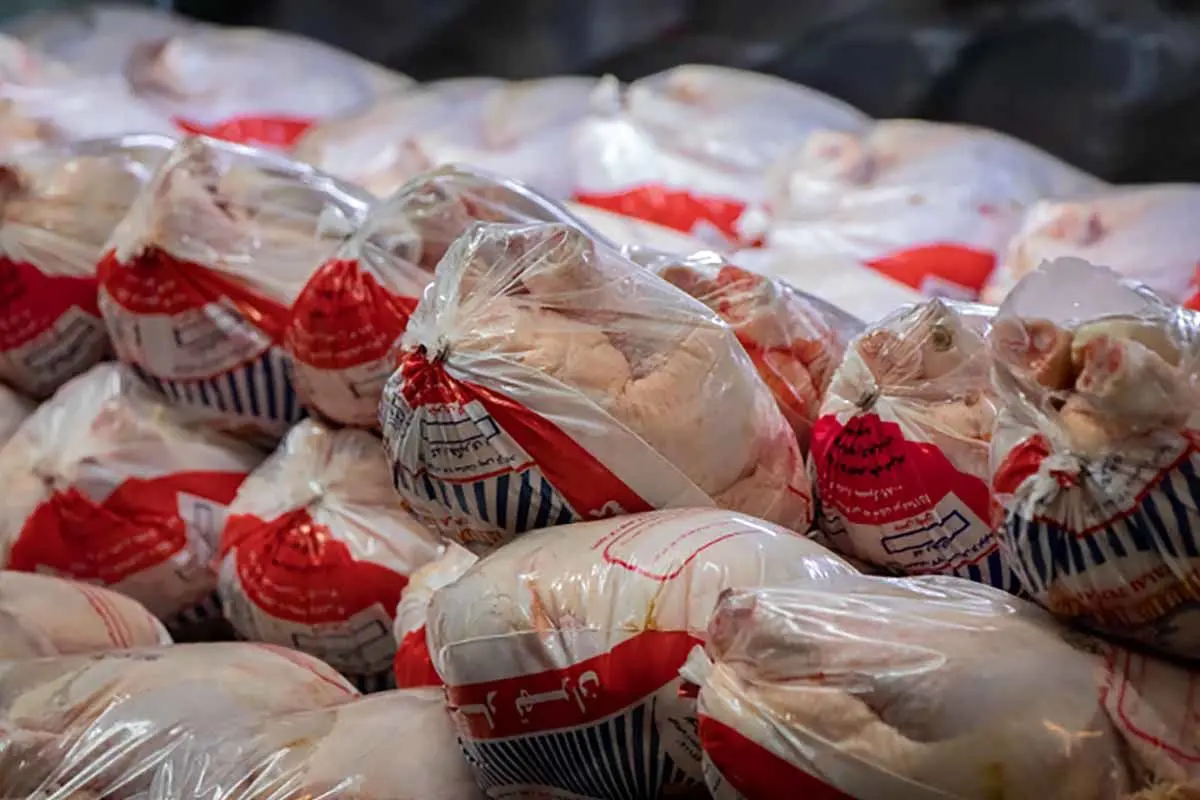 صادرات 5 محموله مرغ به عراق