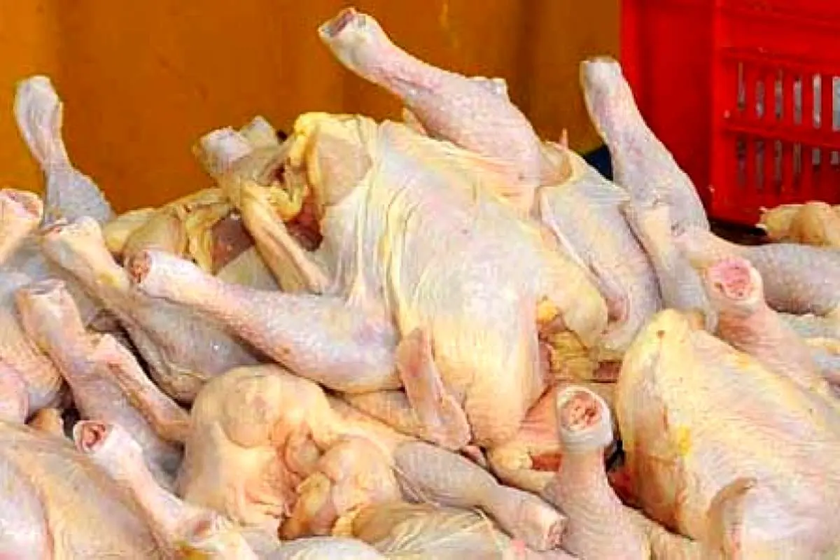 گرانفروشی مرغ در بازار