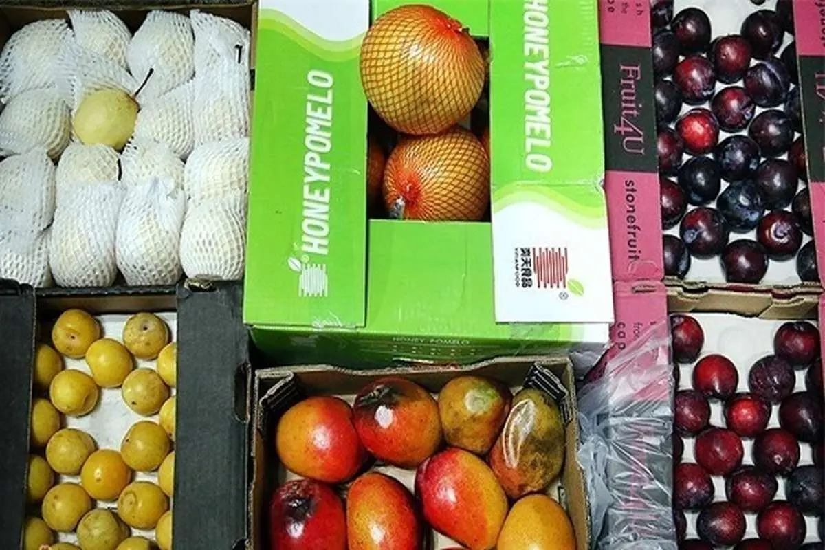 کشف بیش از 1000 تن میوه قاچاق