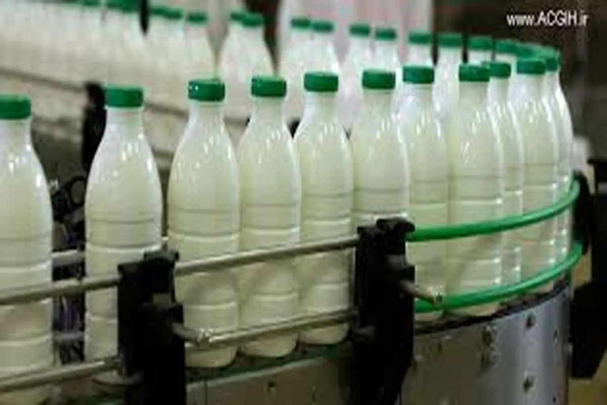 صنایع لبنی،شیر را ارزان می خرند
