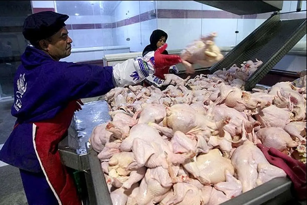 افزایش قیمت مرغ در شب عید قطعی است