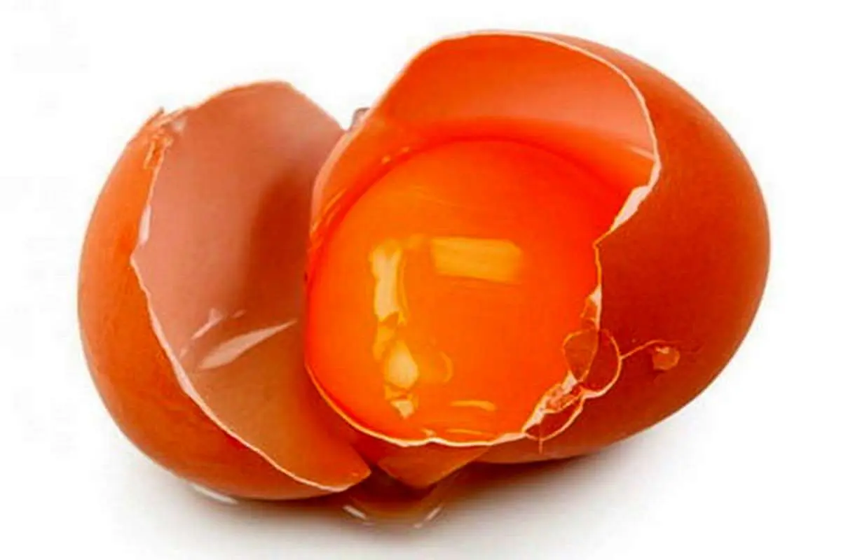 قیمت تخم مرغ از مرغداری تا مغازه بیش از 40 درصد تفاوت دارد