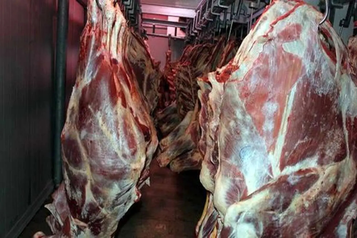 نیوزیلند صادرات گوشت به ایران را از سر می‌گیرد