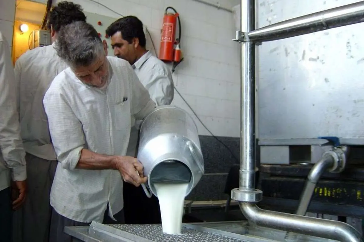 برخی کارخانجات لبنی قیمت شیر خام را افزایش دادند