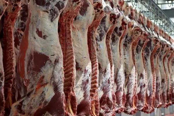 رشد ۵۳ درصدی عرضه گوشت طیور در فروردین امسال
