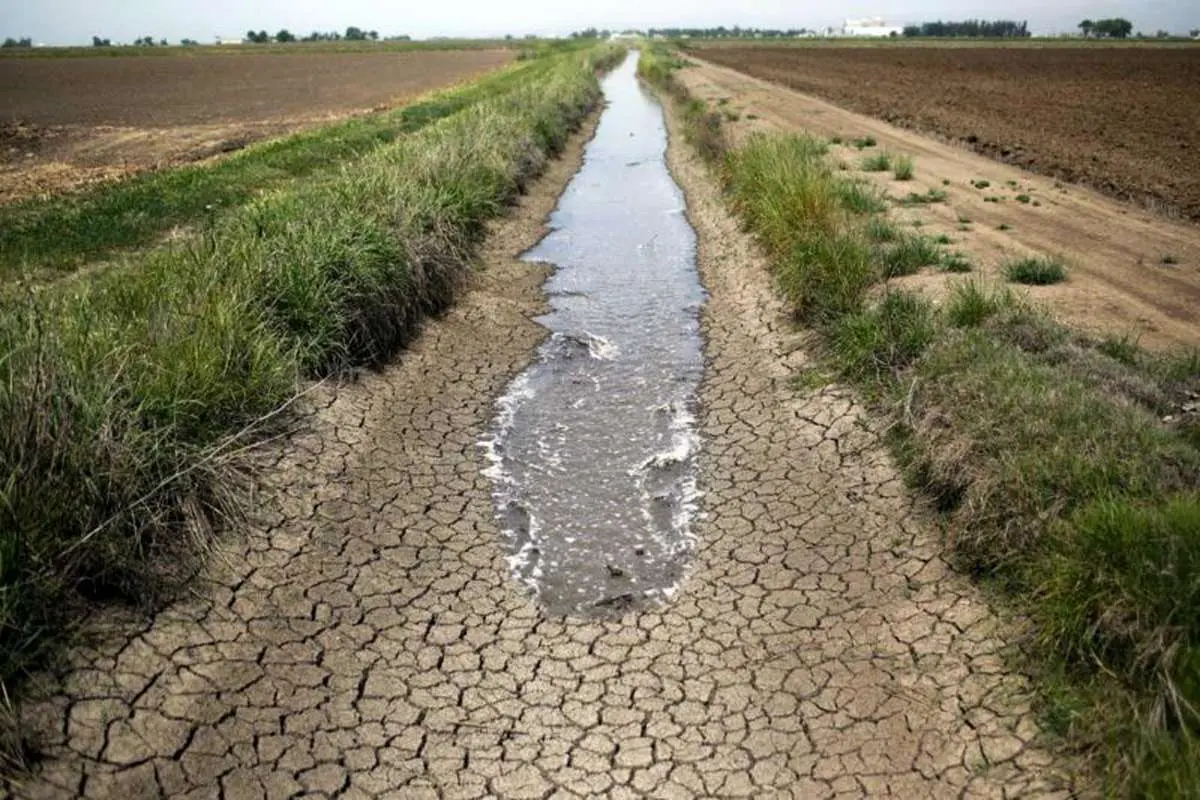 آیا کشاورزی متهم اصلی در بحران آب است؟