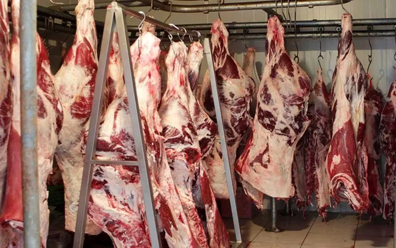 توزیع گوشت ۲۲ هزار تومانی به وفور در بازار