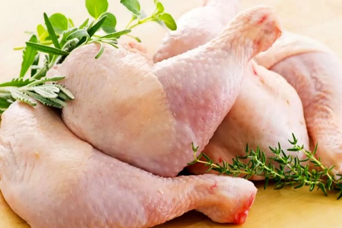 کاهش قیمت ۷۰۰ تومانی مرغ