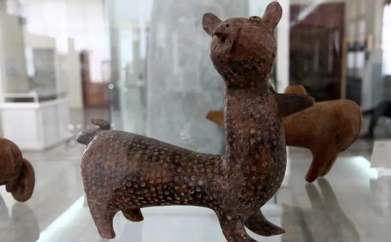 نمایش قدیمی‌ترین یوزهای ایرانی در موزه ملی