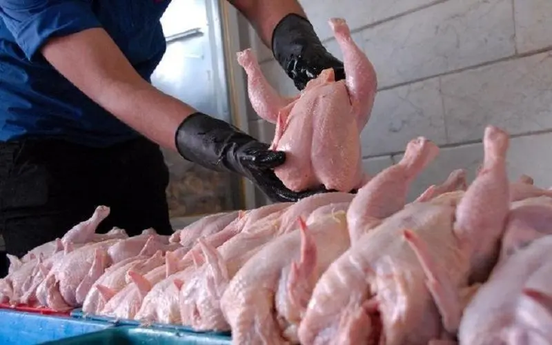 ثبات در بازار مرغ و ماهی