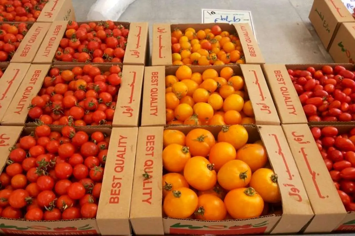 صادرات میوه و سبزیجات ترکیه به قطر ۳ برابر شد
