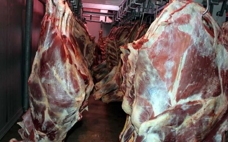 ایران از مغولستان گوشت خرید