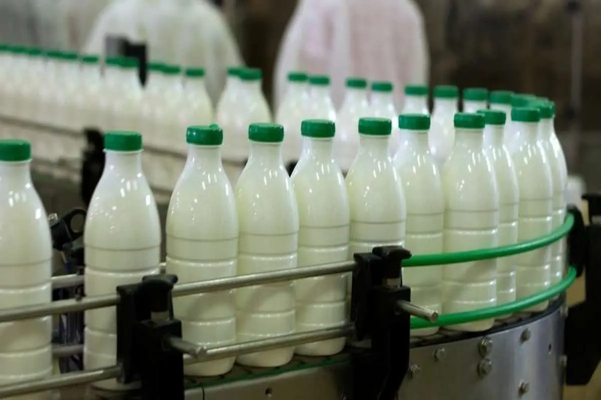پرداخت ۳۰۰ تومان مشوق برای صادرات شیر