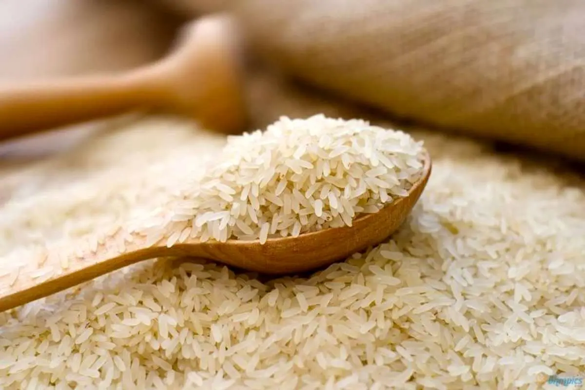 واردات برنج ایران از هند نصف شد