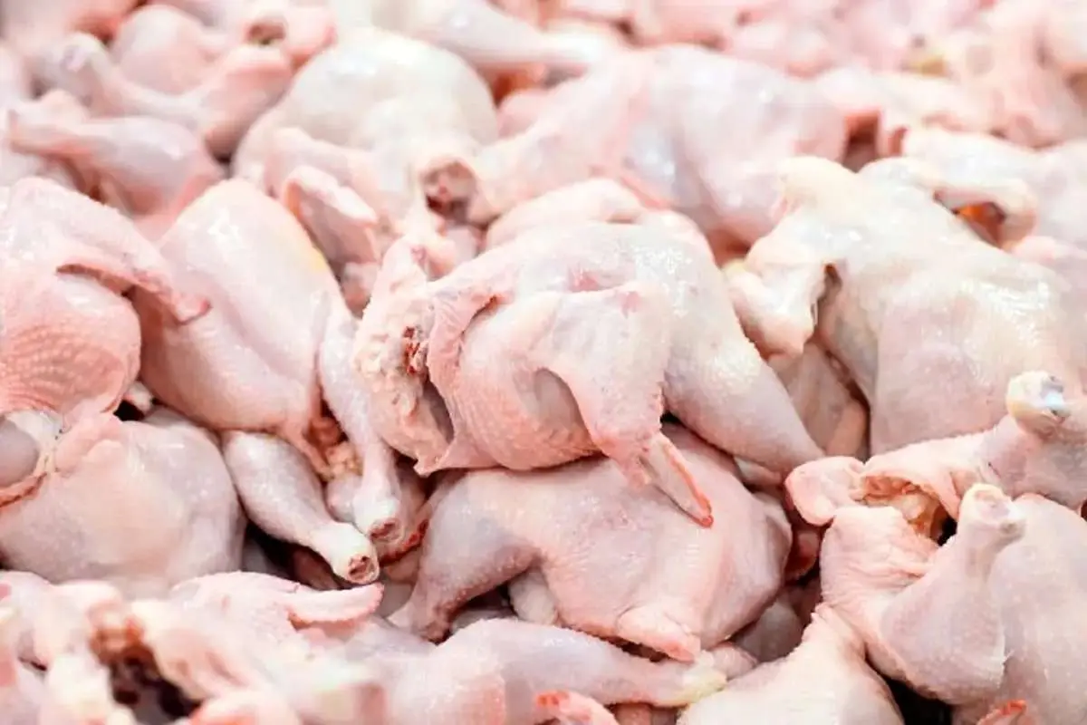 افزایش قیمت مرغ به ۸۰۰۰ تومان