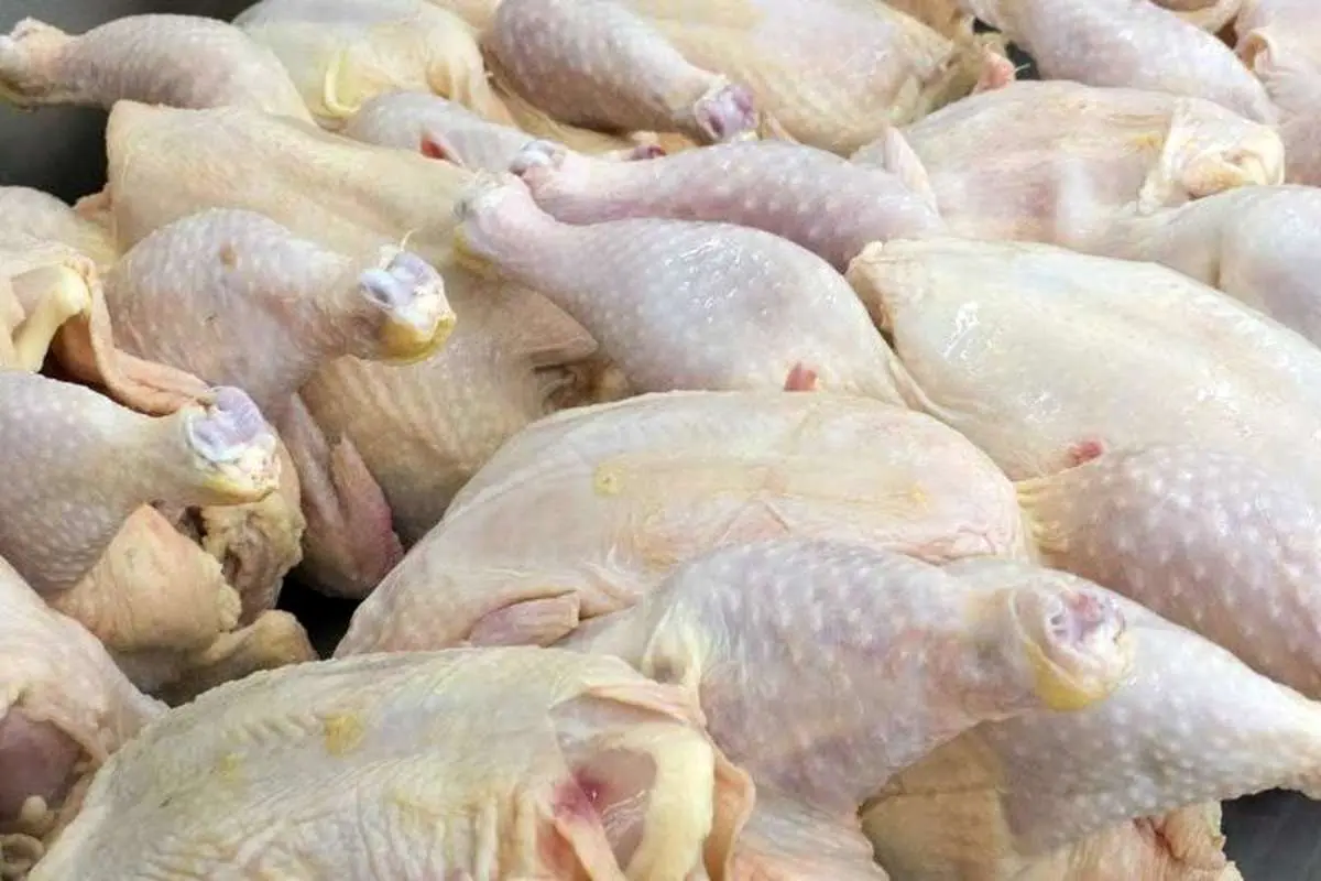 افزایش قیمت مرغ به دلیل گرانی جوجه و گوشت