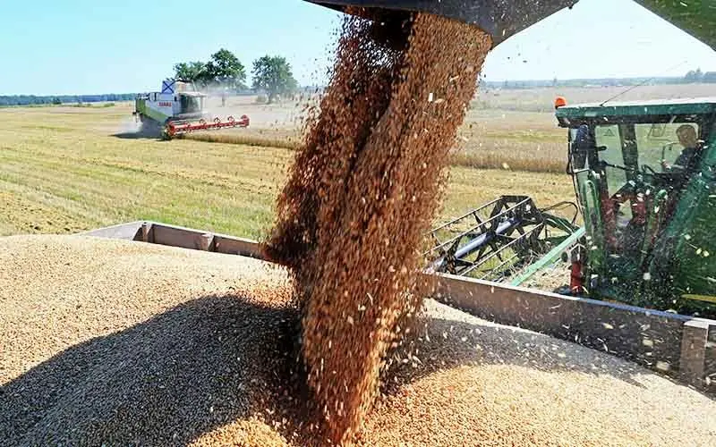روسیه دوباره بزرگ‌ترین صادرکننده گندم جهان می‌شود