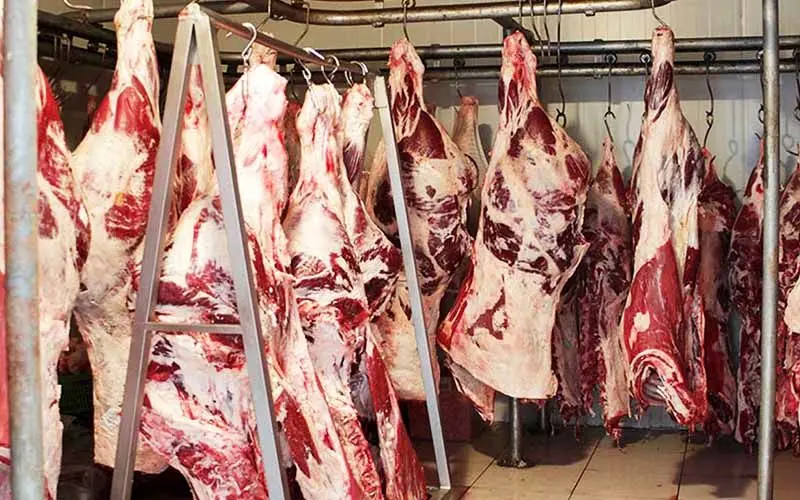کاهش تعرفه واردات گوشت از ۲۶ درصد به ۵ درصد
