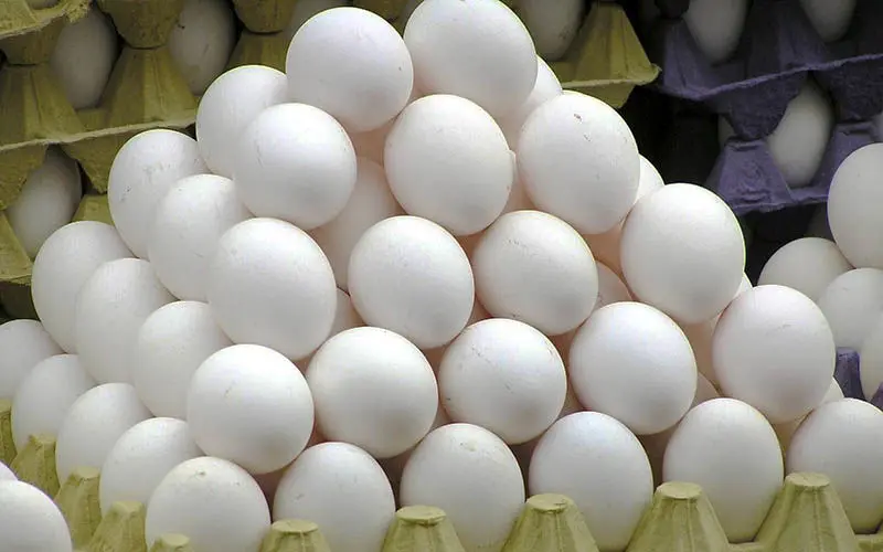 ایران نمی‌تواند امسال صادرات تخم مرغ انجام دهد