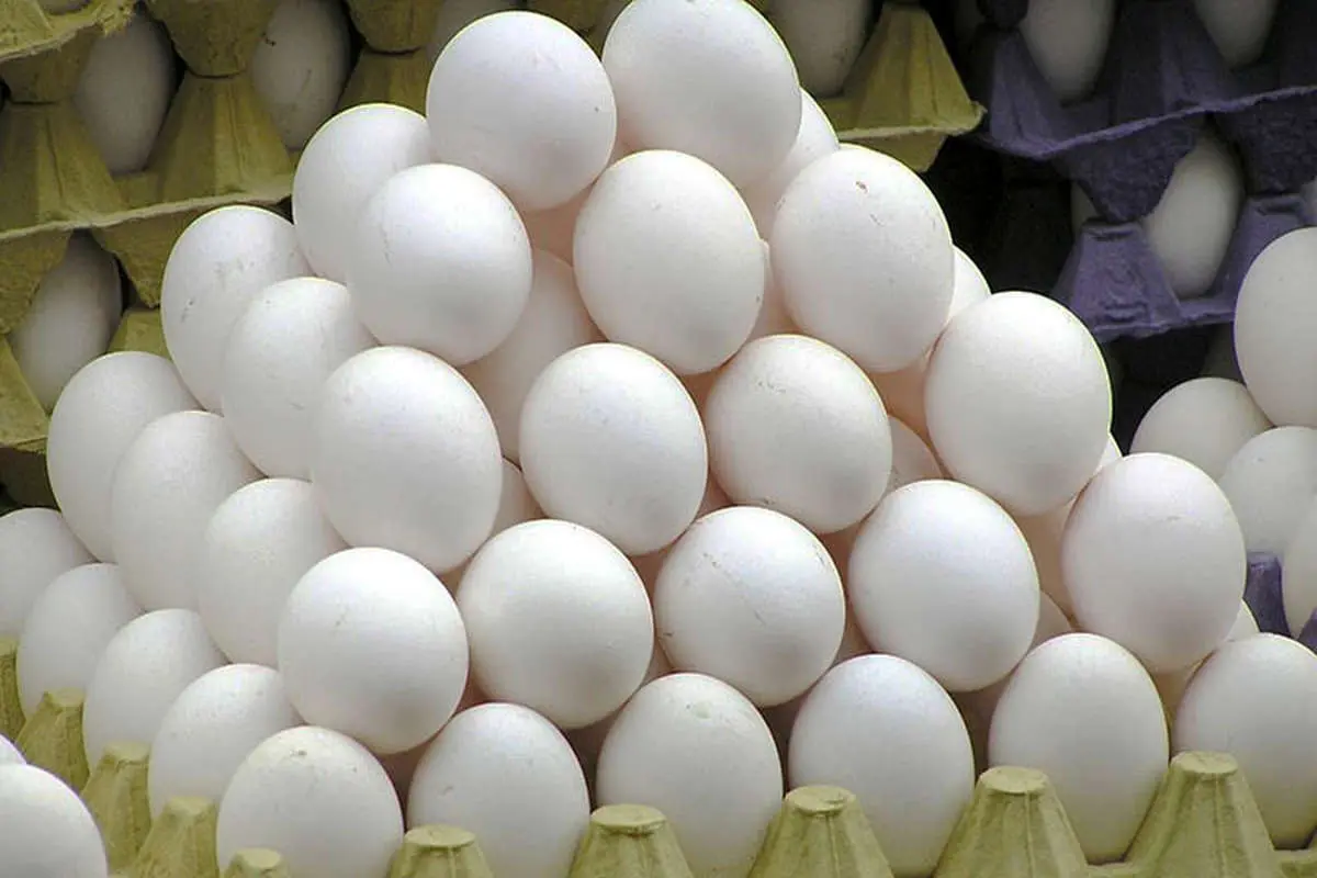ایران نمی‌تواند امسال صادرات تخم مرغ انجام دهد