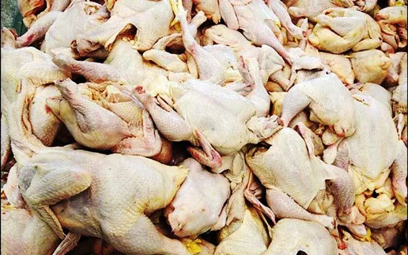 قیمت مرغ با ۴۰۰ تومان کاهش به کیلویی ۸۱۰۰ تومان رسید