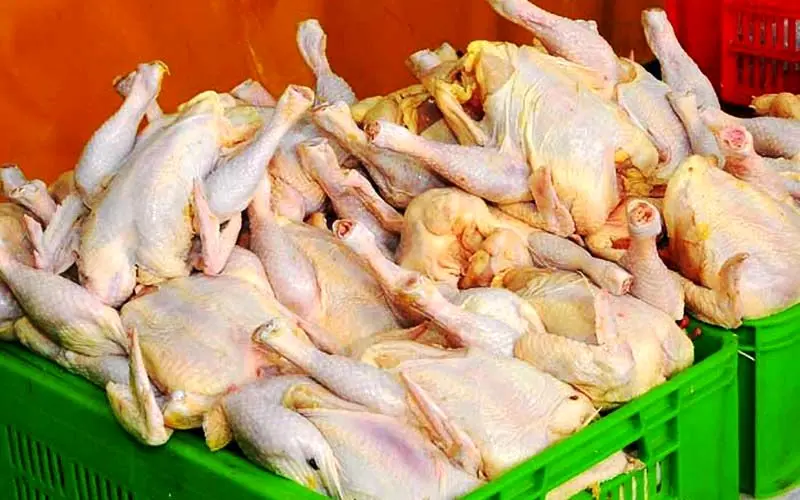 قیمت مرغ با ادامه روند کاهشی به کیلویی ۷۹۰۰ تومان رسید