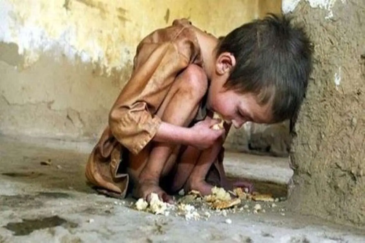 افزایش تعداد گرسنگان در جهان