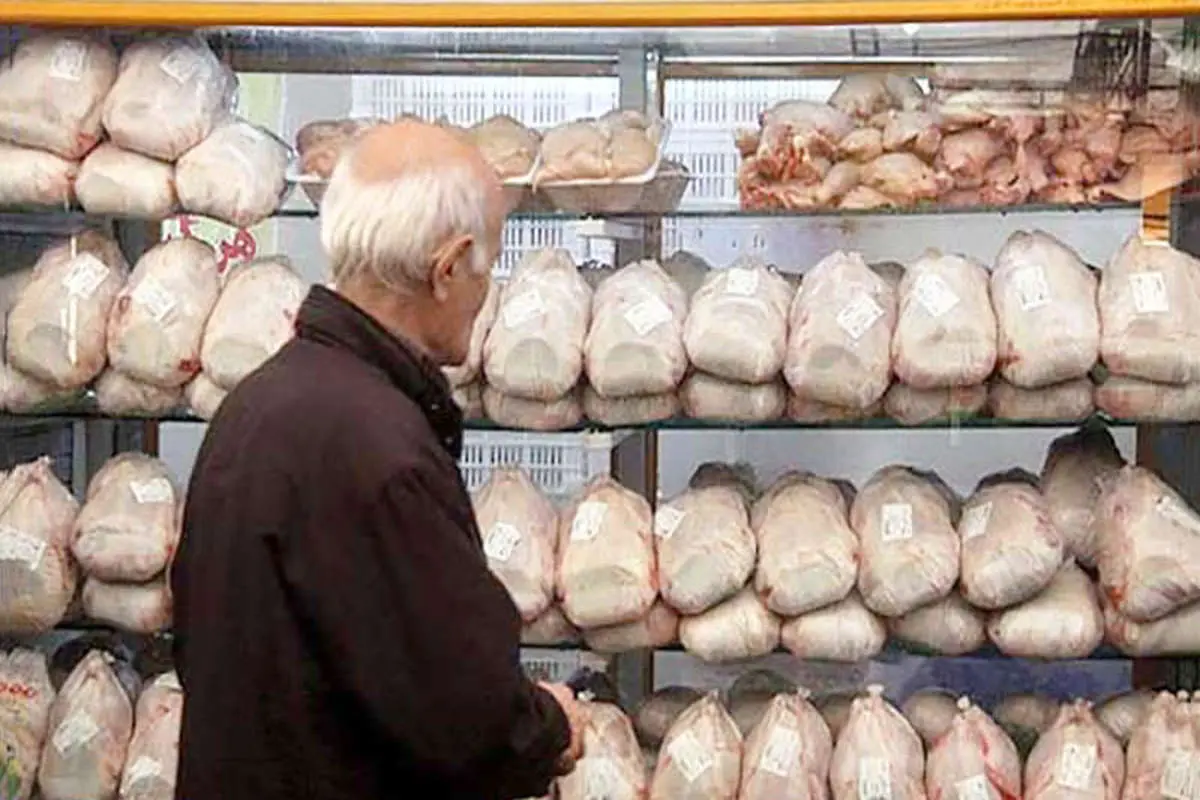 قیمت مرغ در مراکز خرده‌فروشی به زیر ۷۰۰۰ تومان رسید