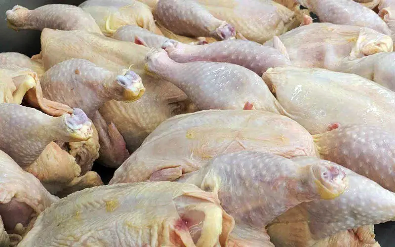 ادامه کاهش قیمت مرغ در بازار به ۷۲۰۰ تومان