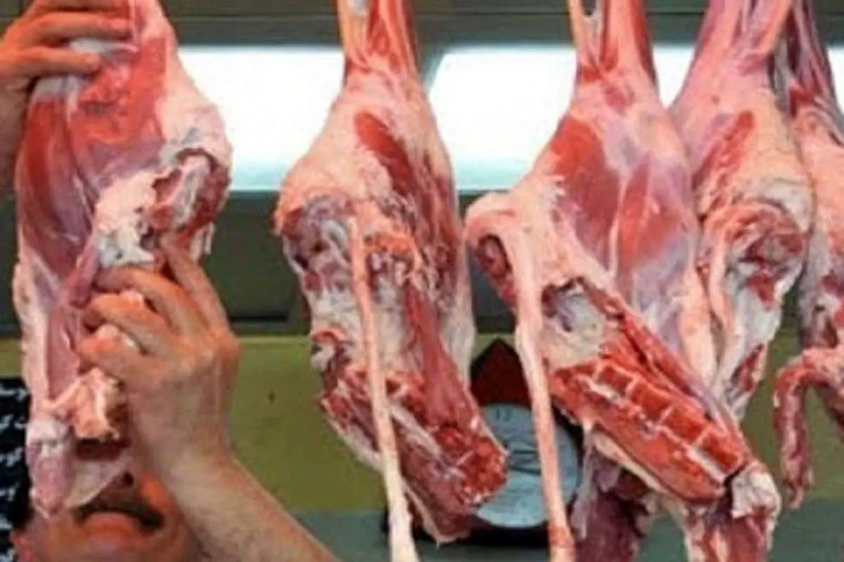 گوشت گوسفند ارزان در راه بازار