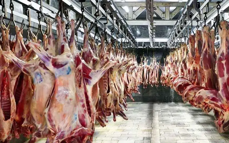 کاهش تقاضا گوشت گوسفندی را ارزان کرد