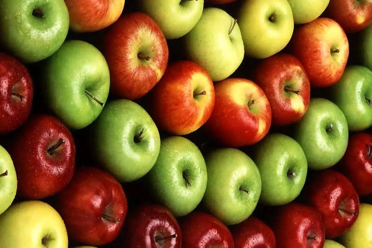 صادرات سیب ۱۰ درصد افزایش یافت