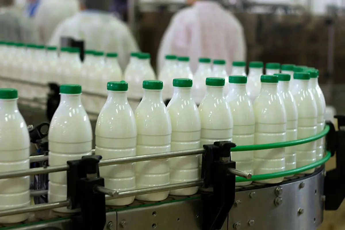 تولید شیر 793 هزار تن افزایش یافت
