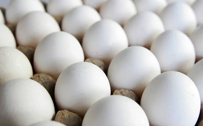 گران‌فروشی ۲۰۰۰ تومانی هر شانه تخم مرغ