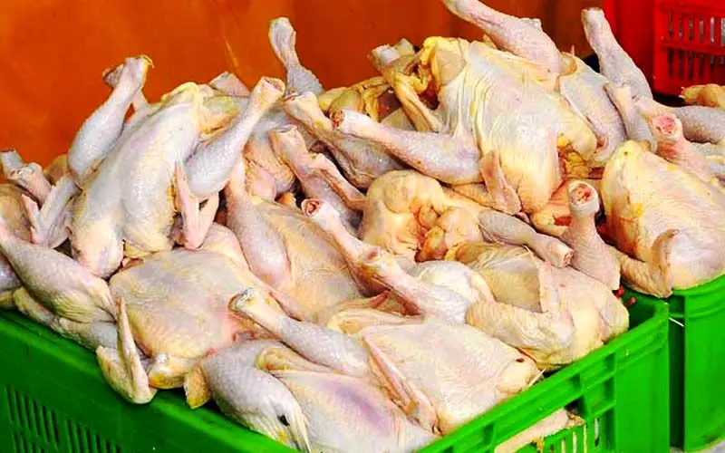 ثبات نسبی قیمت مرغ در بازار با نرخ ۷۶۵۰ تومان