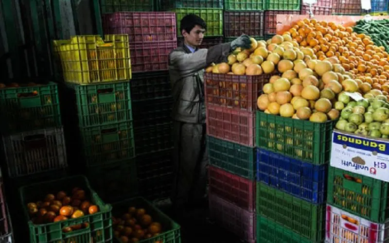 یک قلم میوه و تره‌بار خارجی هم در بازارهای تهران وجود ندارد