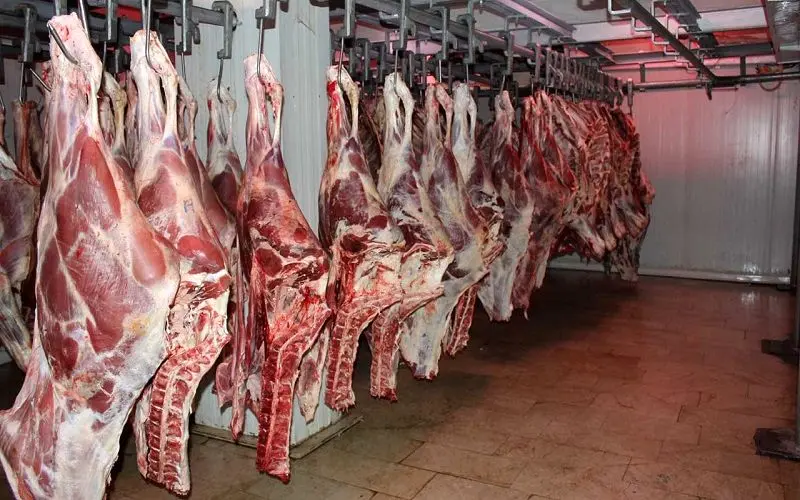 گوشت گوسفندی روس به ایران می‌آید