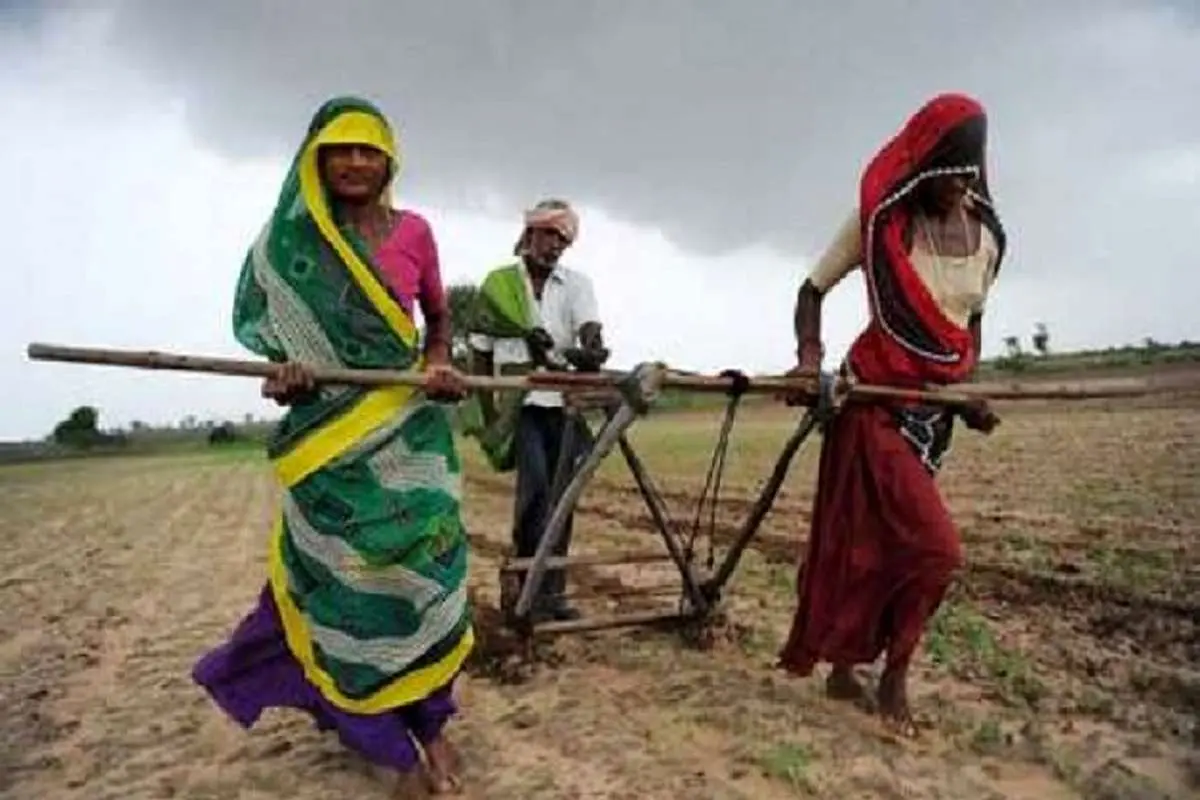 وزیر اقتصاد هند: درآمد کشاورزان را دو برابر می‌کنیم