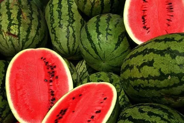 ۱۷۰ هزار تن هندوانه برای شب یلدا عرضه می‌شود